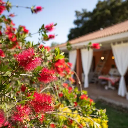 Villa Locazione Turistica Agave By Interhome *